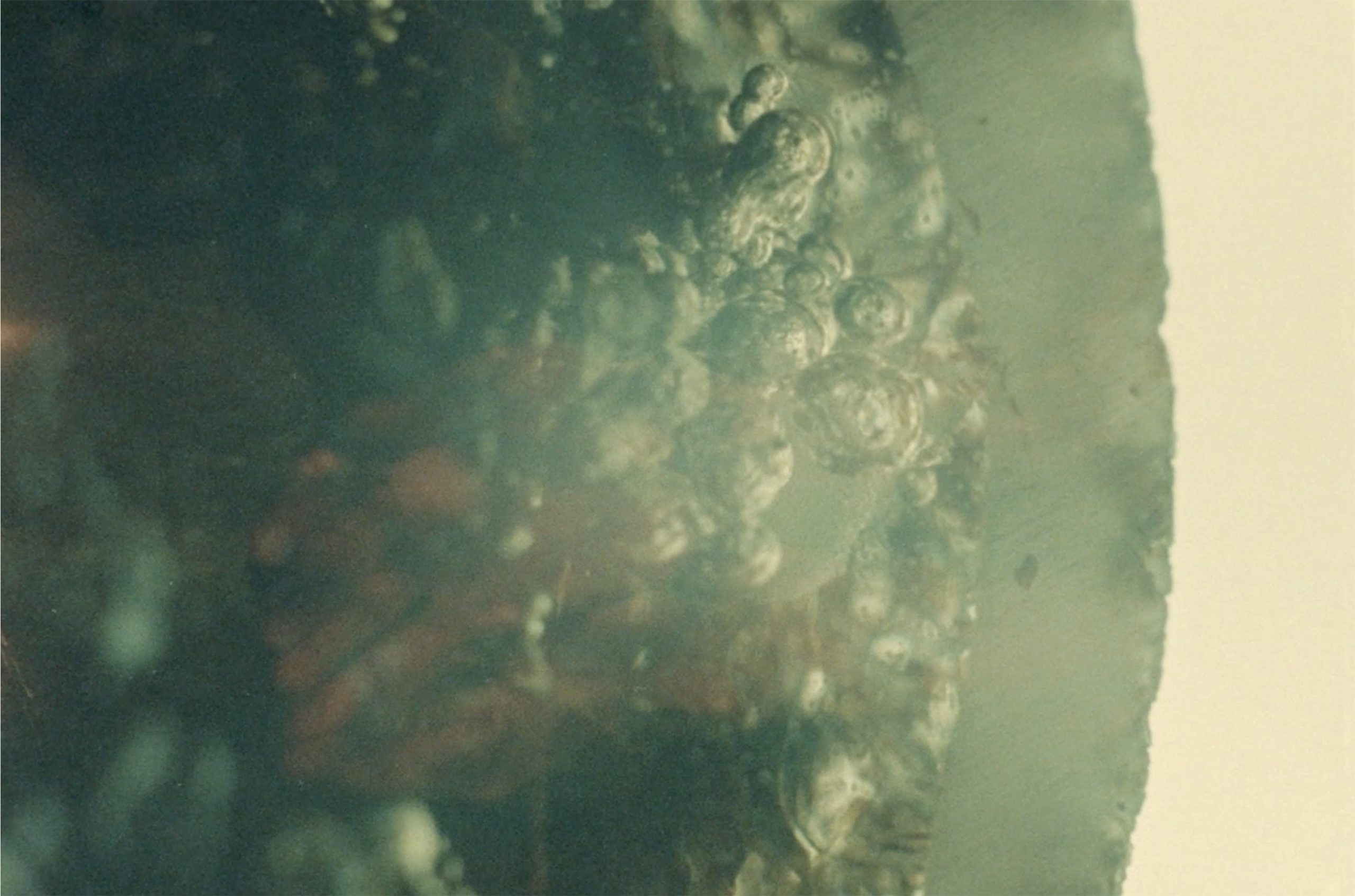 Taylor Alaina Liebenstein Smith